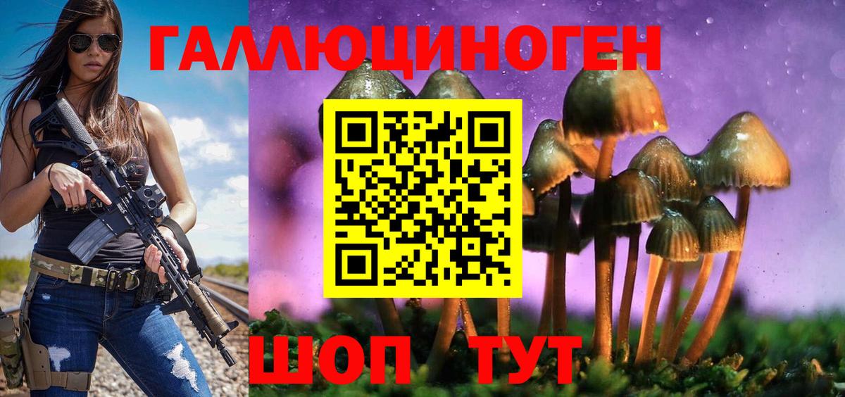 закладка  Вход с VPN  Бугульма  Псилоцибиновые грибы Psilocybe 